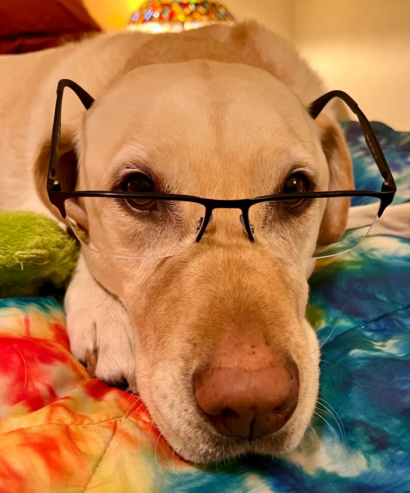 Hey Now! Welcome to Sun Valley Bugle!